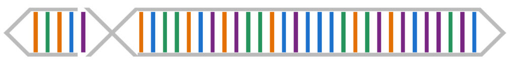 Phill's Theme graph